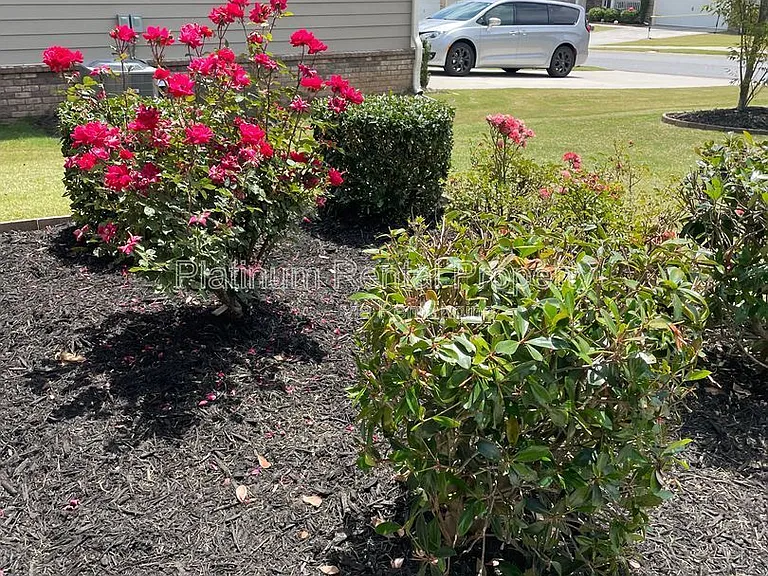 1825 Dahlia Dr — Photo 12
