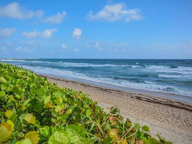 3200 S Ocean Blvd #C501 — Photo 37