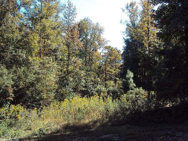 1st image of 700 Stowe Ln
