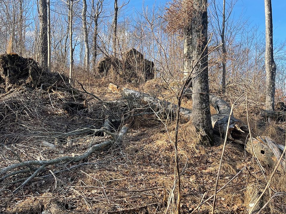 0 Nabors Hollow Ln, Hickman, TN 38567 Zillow