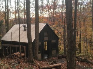 566 Rock Rift Mountain Rd #8, Walton, NY 13856