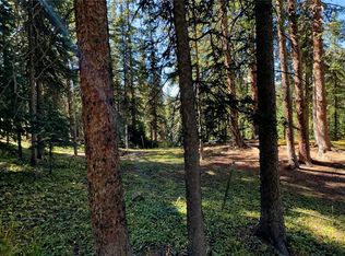 711 Doris Dr, Breckenridge, CO 80424