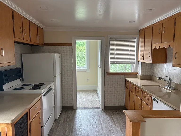 66 Mount Prospect St #2 — Photo 4