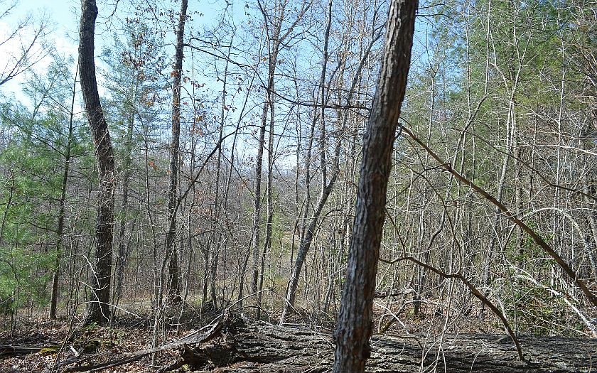 2nd image of 37 Woodland Dr