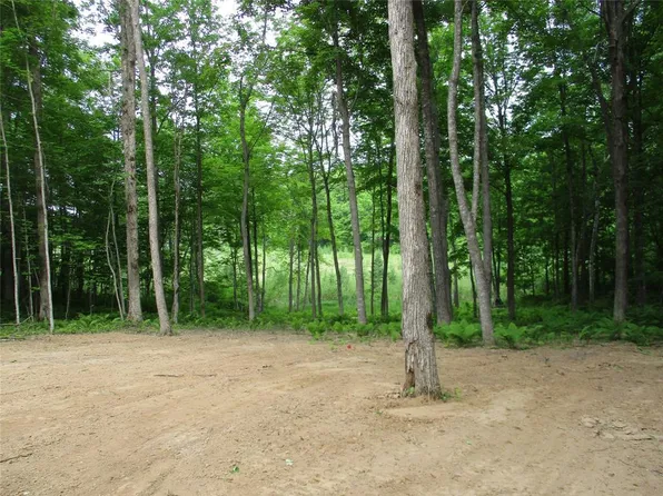2982 MAPLE WAY / 28 7/16 Avenue, Birchwood, WI 54817
