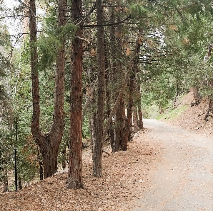 2nd image of 0 Pioneer Rd #66