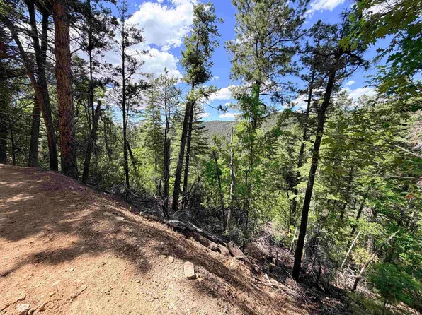 Henry Summit Dr, High Rolls Mountain Park, NM 88325