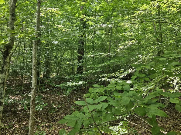 0 Hites Creek Rd, Middleburg, KY 42541