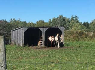 234 Hinman Rd, Cortland, NY 13045
