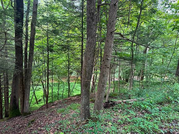 5th image of 0 Stringtown Rd