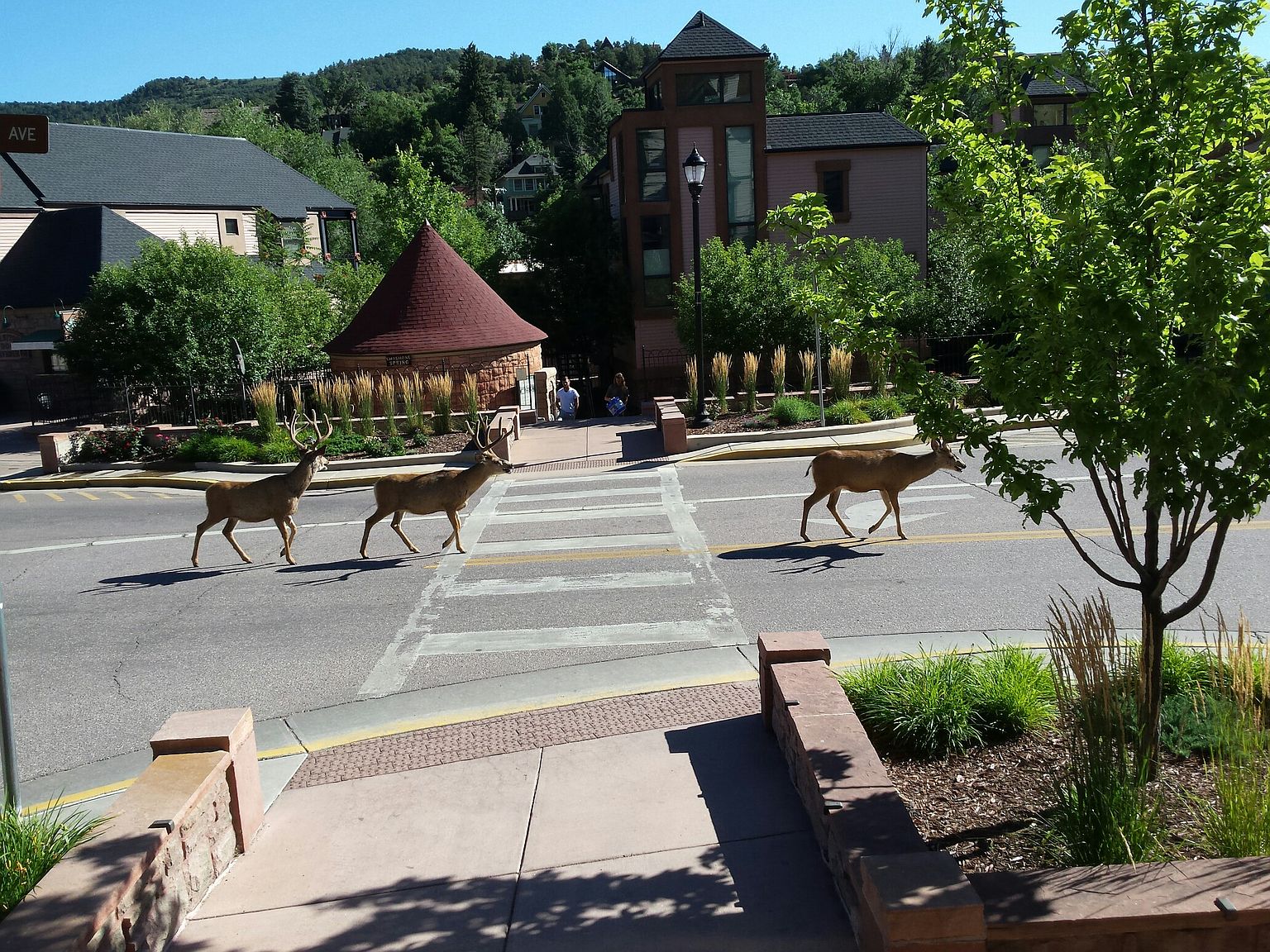 819 Manitou Ave 205, Manitou Springs, CO 80829 Zillow