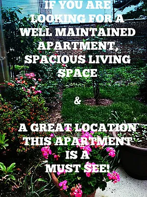 Rented by Eleni Moustakis LREB | media 31