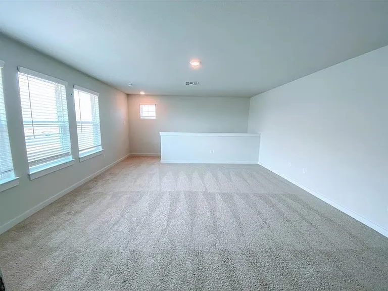 233 William Moon Way — Photo 16