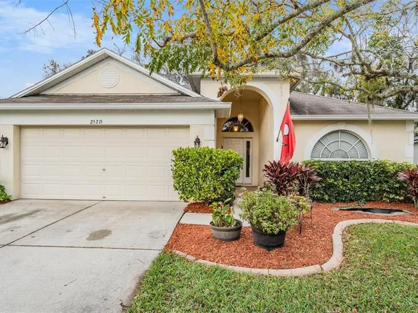 25215 Geddy Dr, Land O Lakes, FL 34639