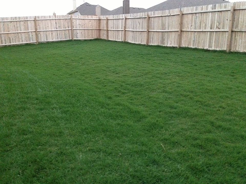 Summer view