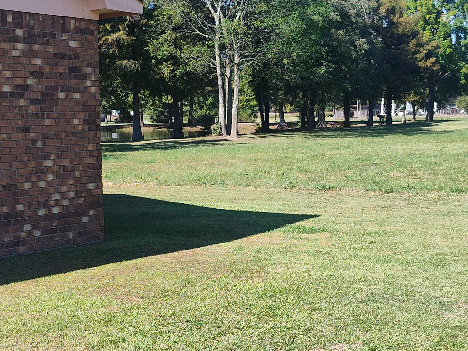 3 bed, 1180 sqft, $1,000 — Photo 3