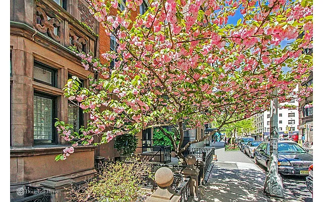 Rented by Douglas Elliman | media 9