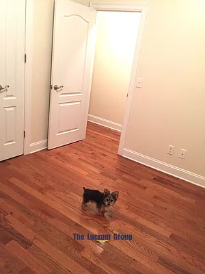 Rented by Lucrum Group | media 26