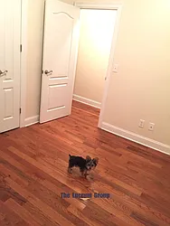 Rented by Lucrum Group