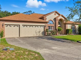 63 N Youngtree Point, Lecanto, FL 34461