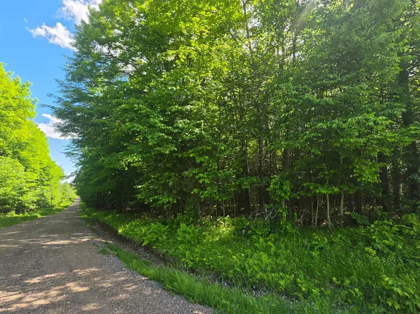 On Pitts Rd, Crandon, WI 54520