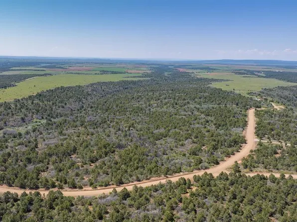 Lot 5 Vista De Oro, Hesperus, CO 81326