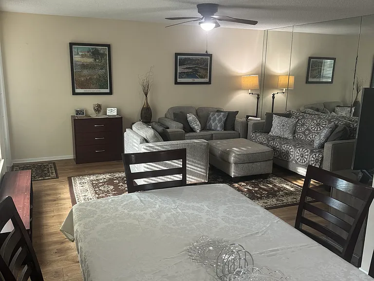 Living and dining rooms with new 55" TV.