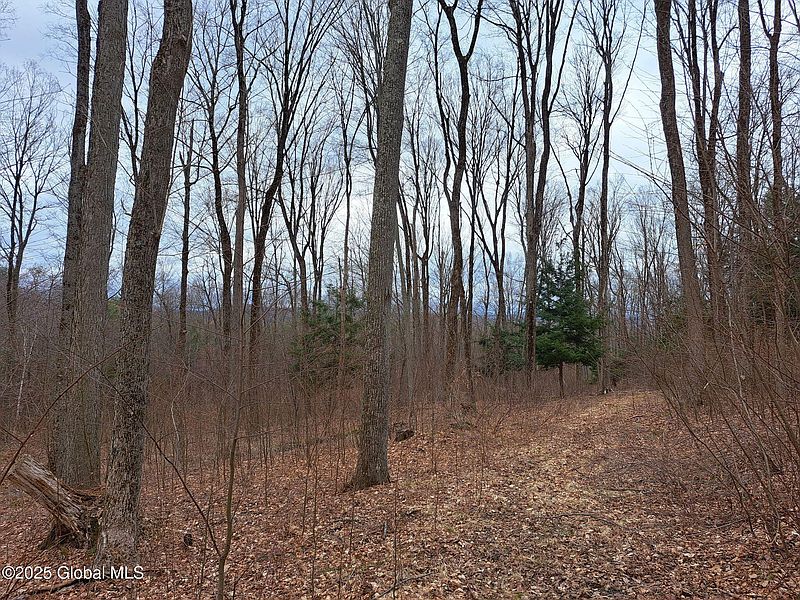 5th image of 851 Bald Mountain Road