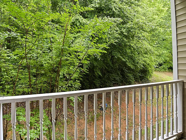 123 Ivy Glen Ct — Photo 22
