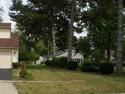 Side view #1