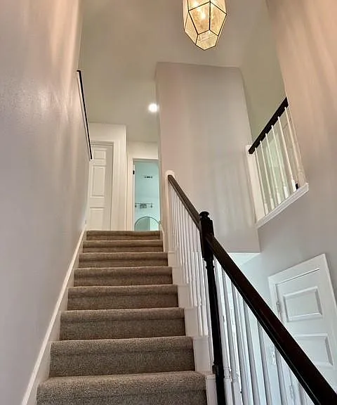3419 Southdown Dr — Photo 23