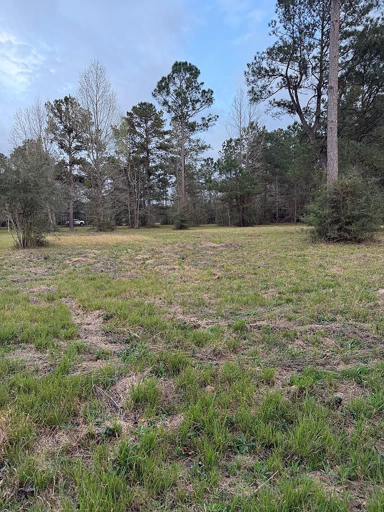 19 George Wise Rd, Carriere, MS 39426 | MLS #187912 | Zillow