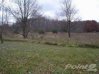 Cherry Hill Back Yard