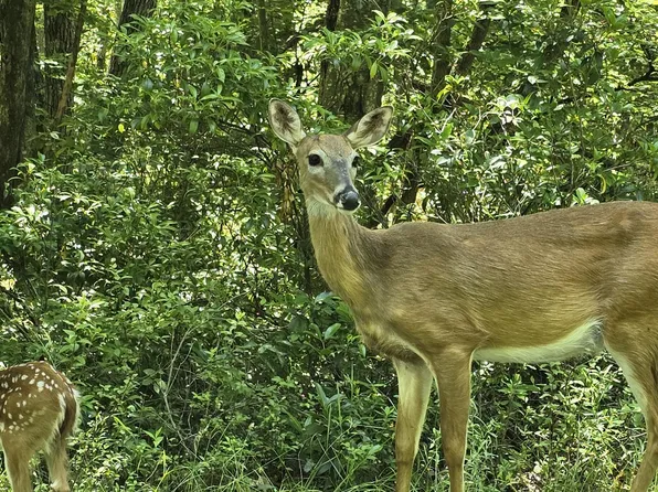 Cayuga Trl, Milford, PA 18337