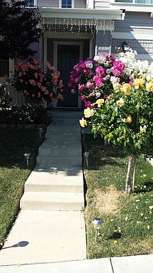 2nd image of 121 Silva Ct