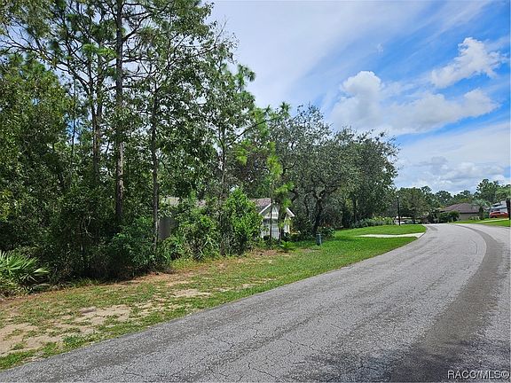 5th image of 17 Speceberry Cir