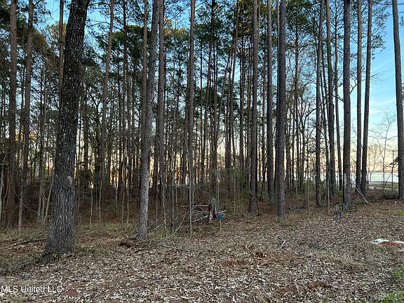 3rd image of 142 Apollo Lot 8