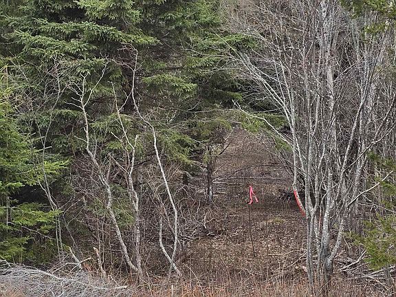 3rd image of Middle River Rd #25-1