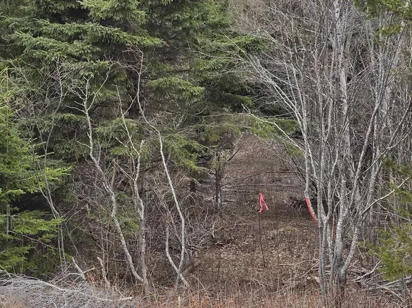 Middle River Rd #25-1, Pictou, NS B0K 2A0