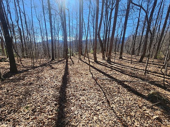 2nd image of LOT 6C Crestview Dr