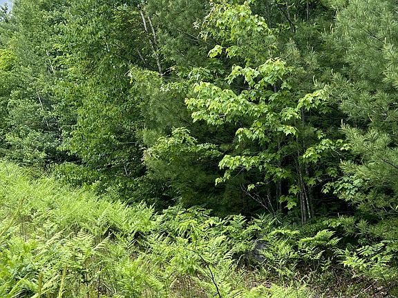 3rd image of 50 Hill Farm Lane