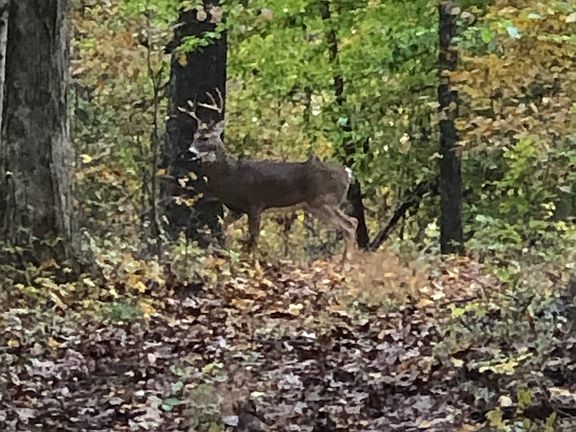 74th image of this home