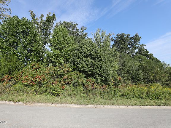 3rd image of 154 Ponderosa Dr