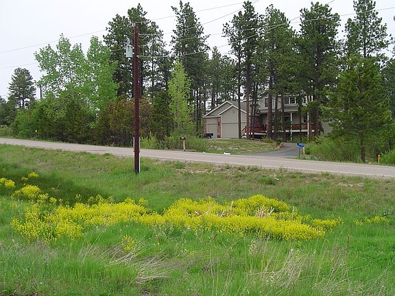 Wild Flowers in front of property