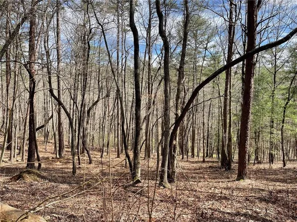 19 Heatherwood Way #4, Talking Rock, GA 30175