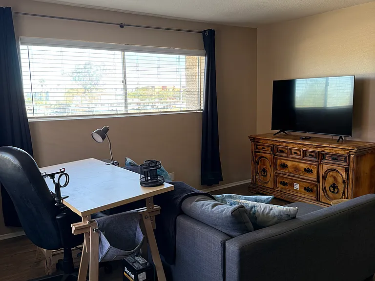 700 W University Dr #213 — Photo 5