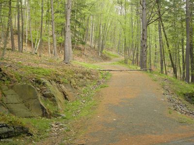 Old Gravity Rd, Hawley, PA, 18428