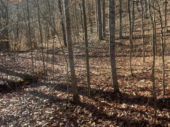 2 Topaz Ln, Tuckasegee, NC 28783