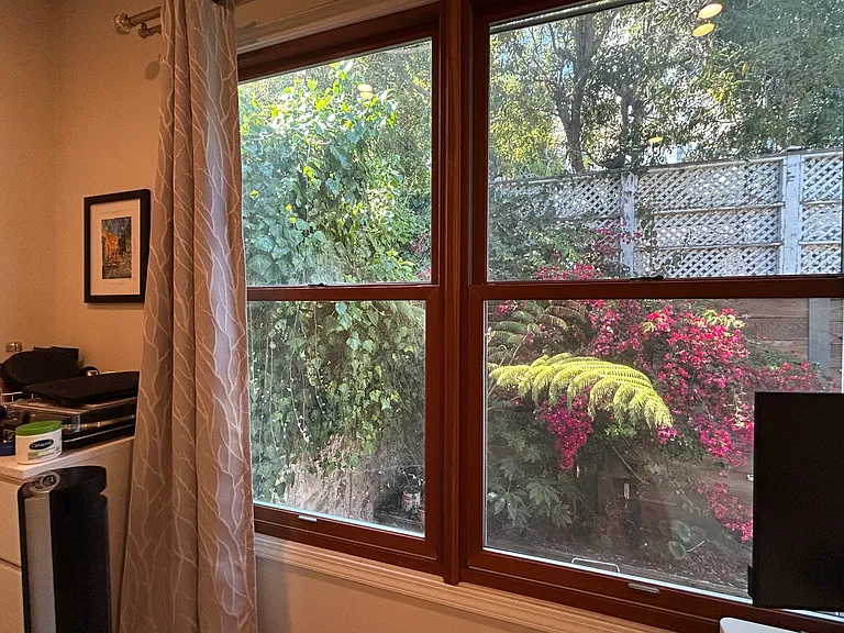 Tranquil garden view from BR window