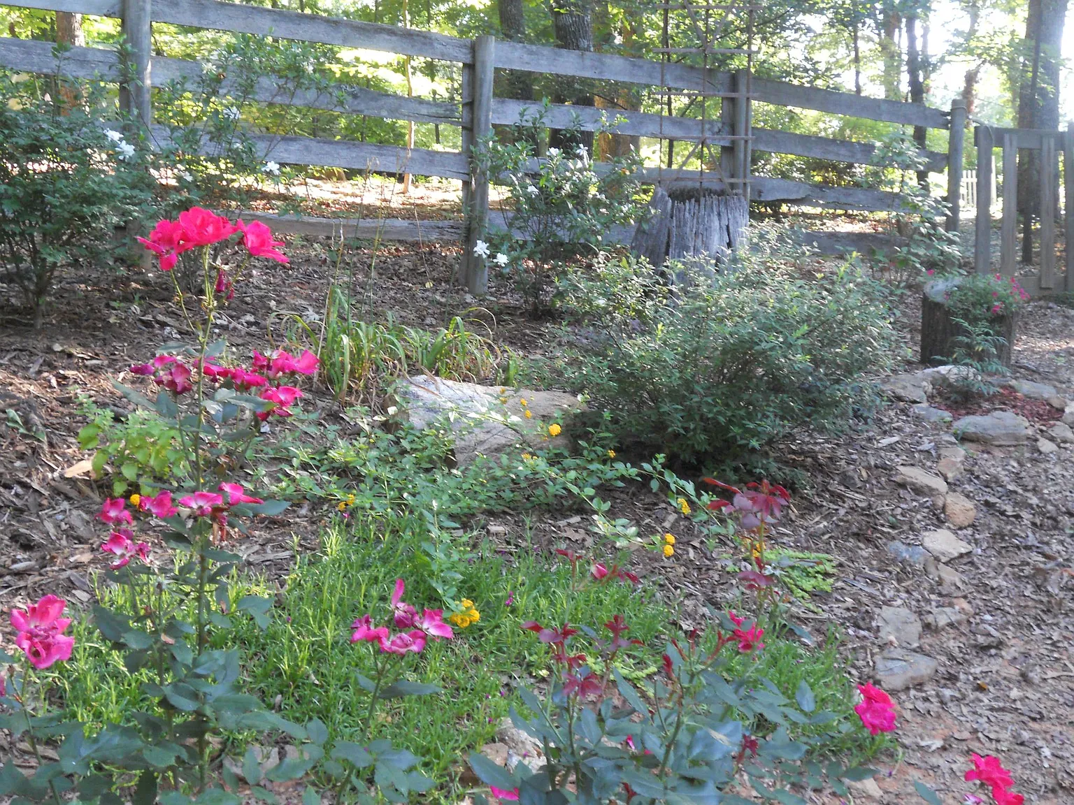 4735 Pilgrim Mill Rd — Photo 4